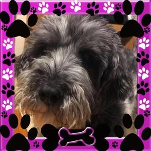 Meet your Posher, Sandi